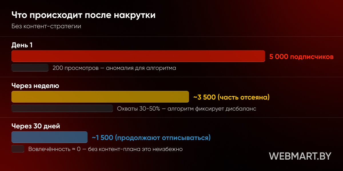 что происходит после накрутки подписчиков