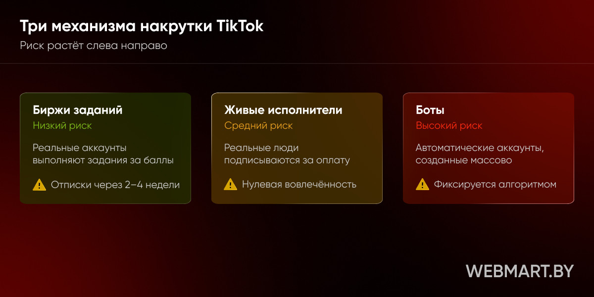 варианты накрутки подписчиков в тт